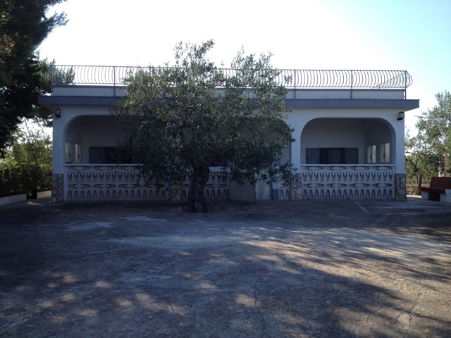 Anteprima