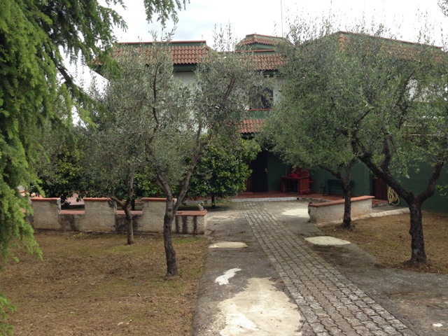 Anteprima