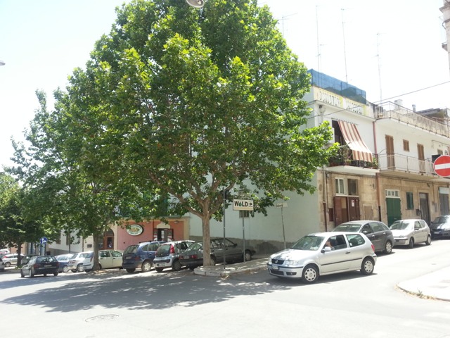 Anteprima
