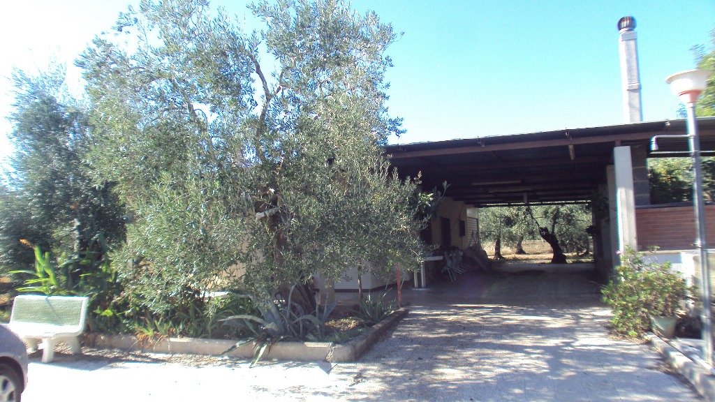 Anteprima