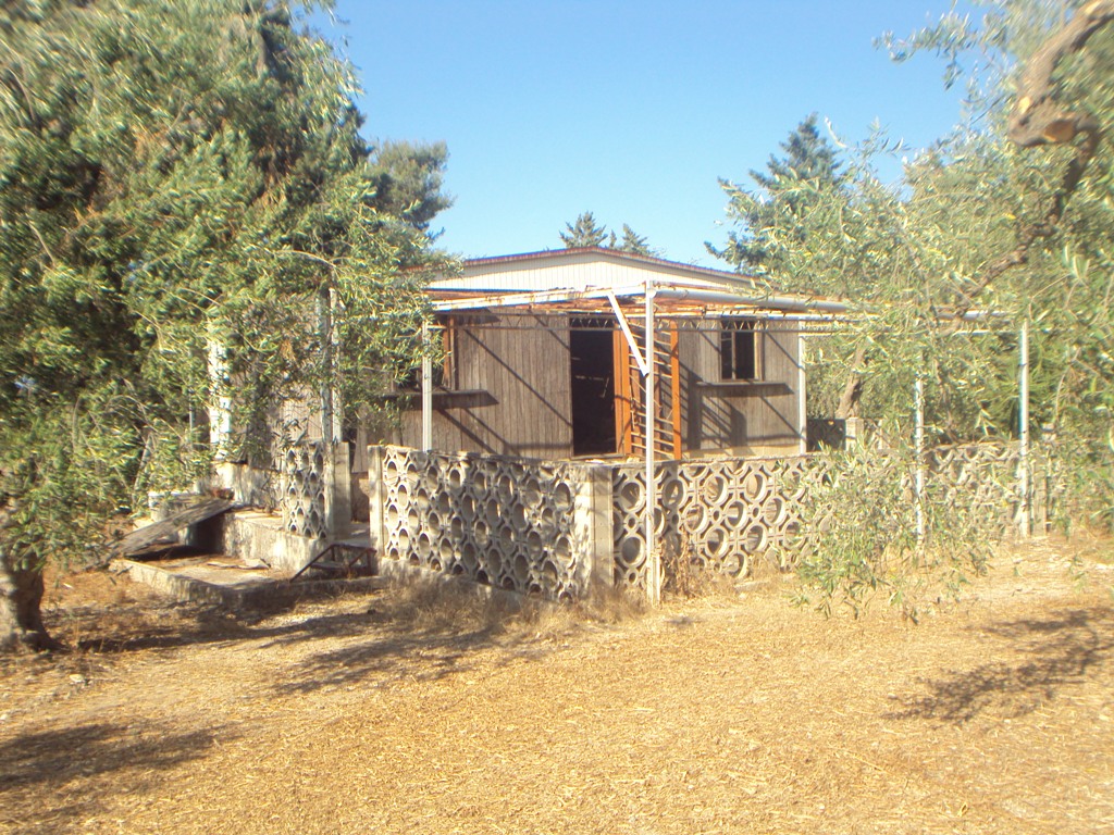 Anteprima
