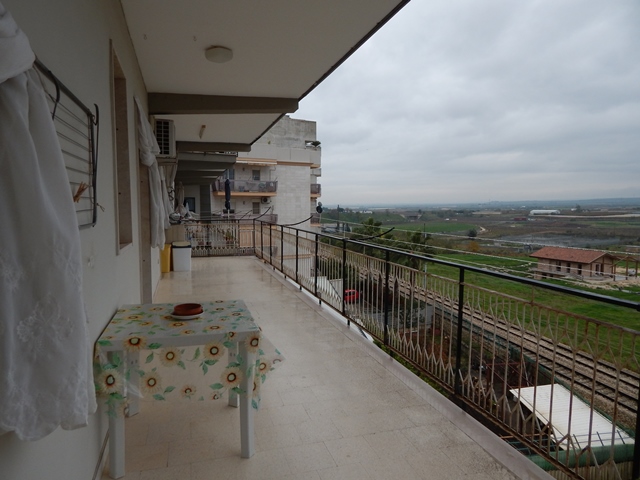 Anteprima
