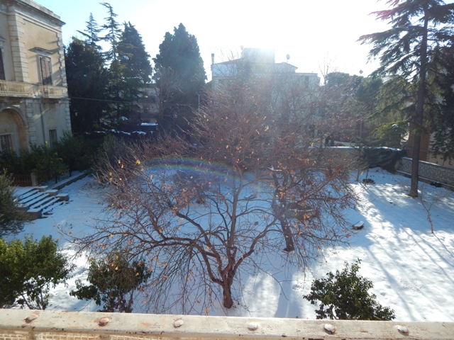 Anteprima