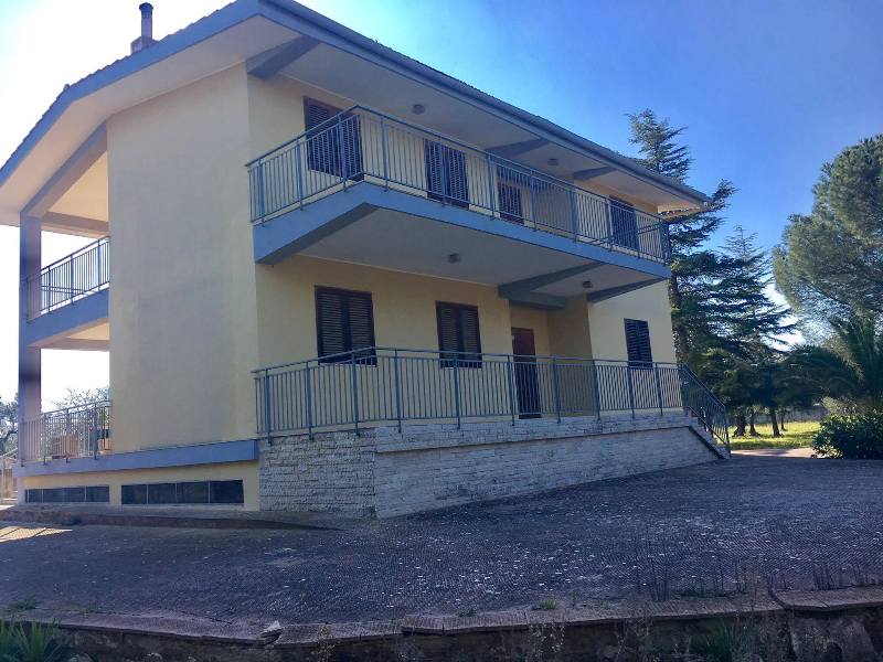Anteprima