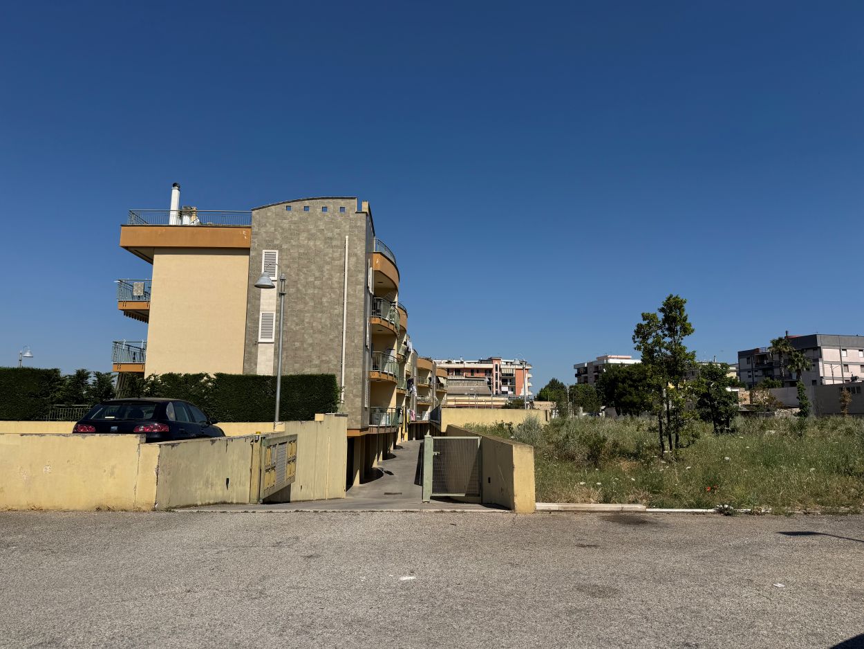 Anteprima