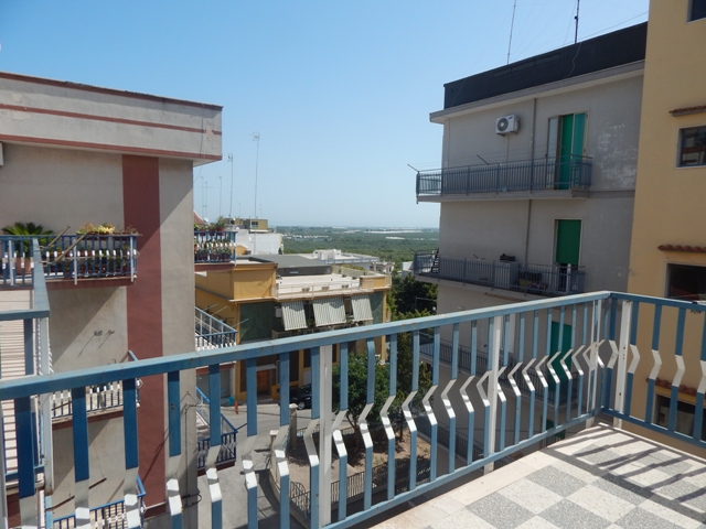 Anteprima