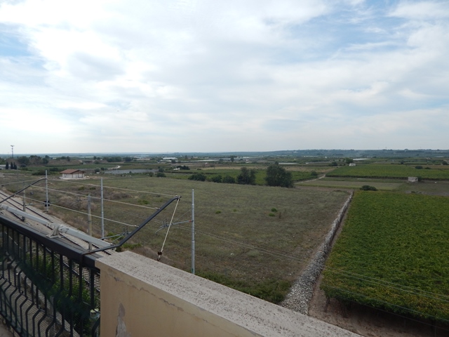 Anteprima