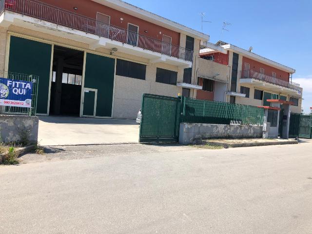 Anteprima