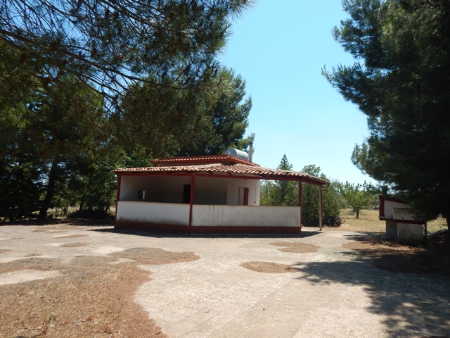 Anteprima