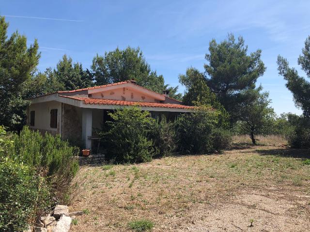 Anteprima