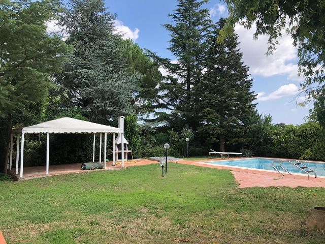 Anteprima