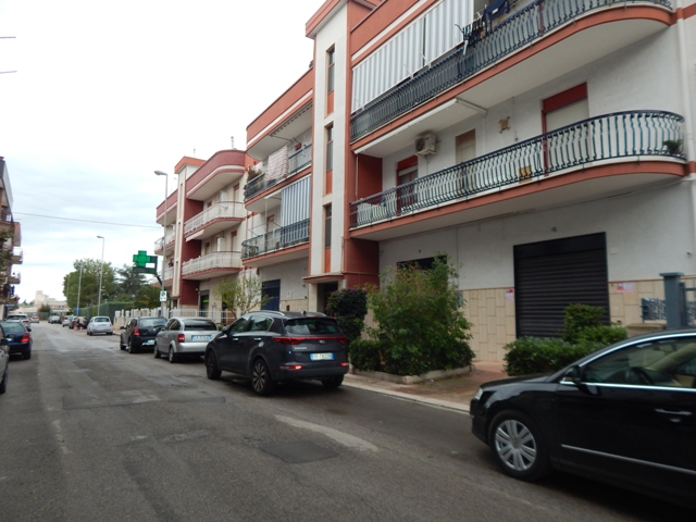 Anteprima