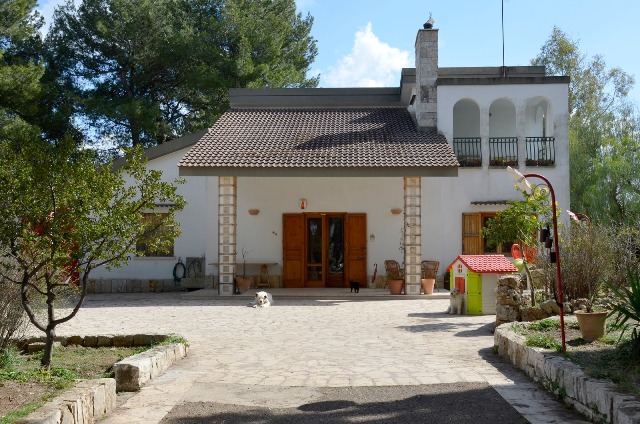 Anteprima