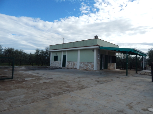 Anteprima