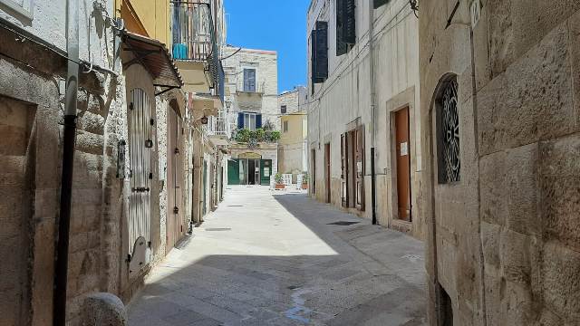 Anteprima