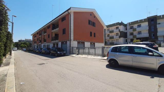 Anteprima