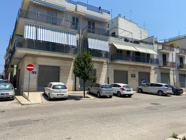 Anteprima