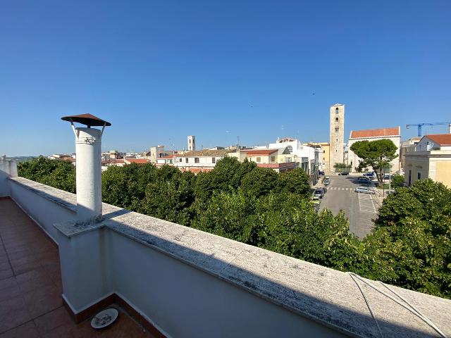 Anteprima