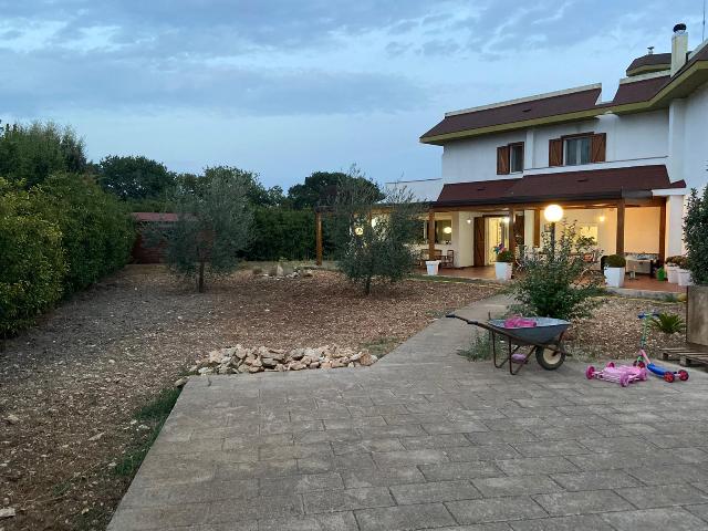 Anteprima