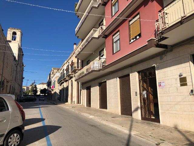 Anteprima