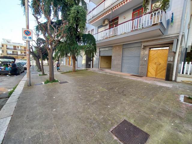 Anteprima