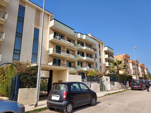 Anteprima