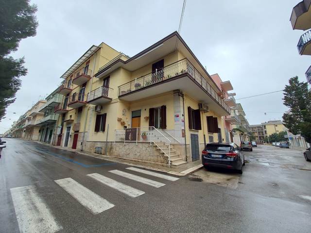 Anteprima