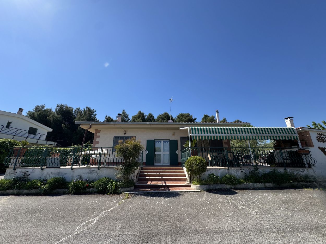 Anteprima