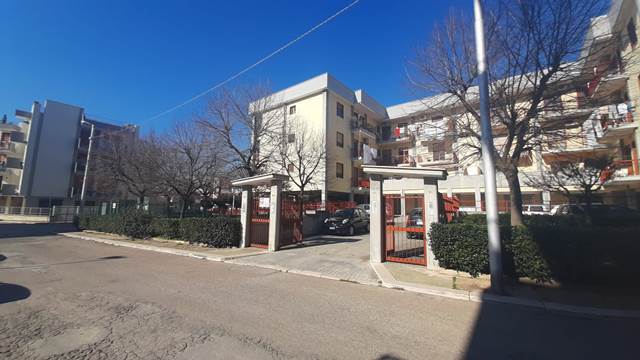 Anteprima