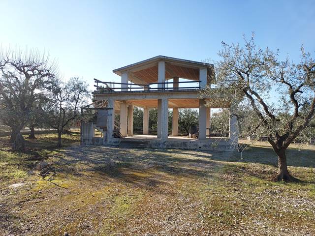 Anteprima