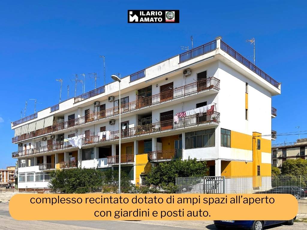 Anteprima
