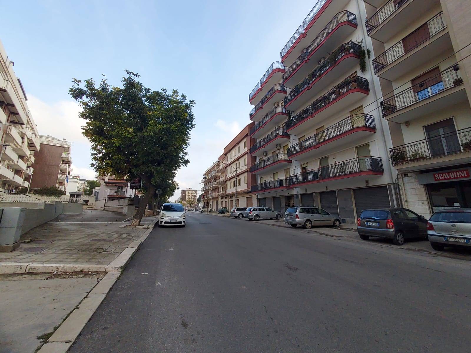 Anteprima