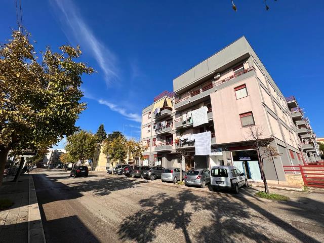 Anteprima