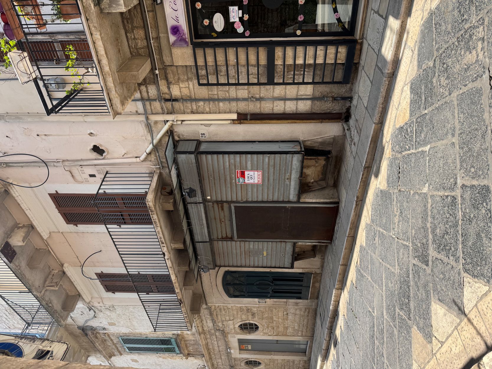 Anteprima