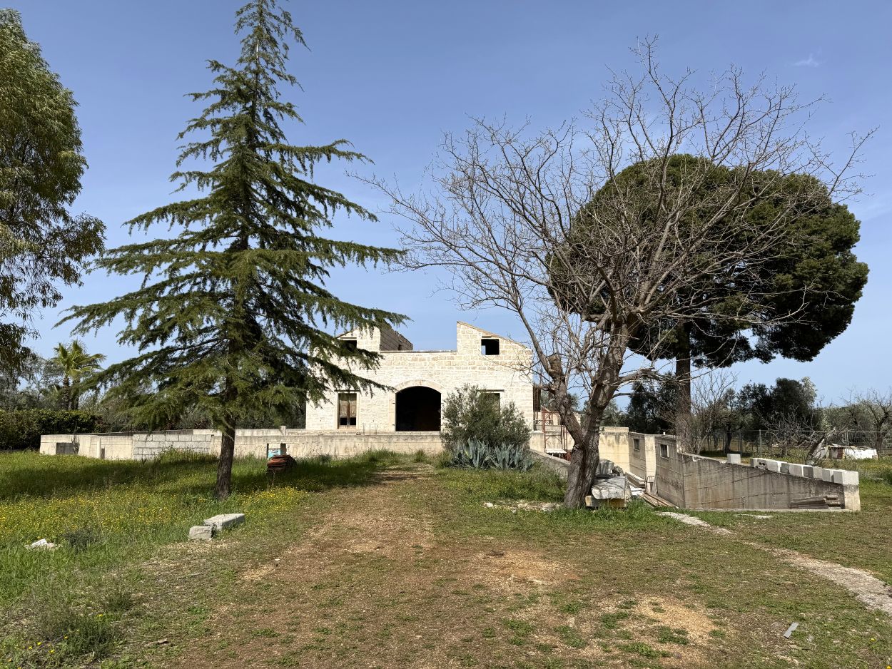 Anteprima