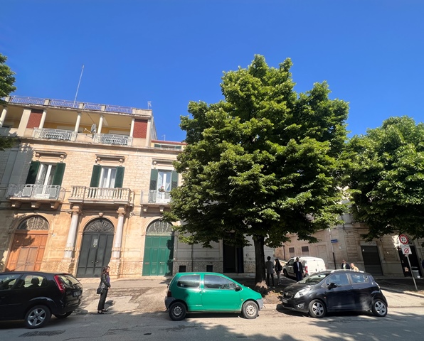 Anteprima