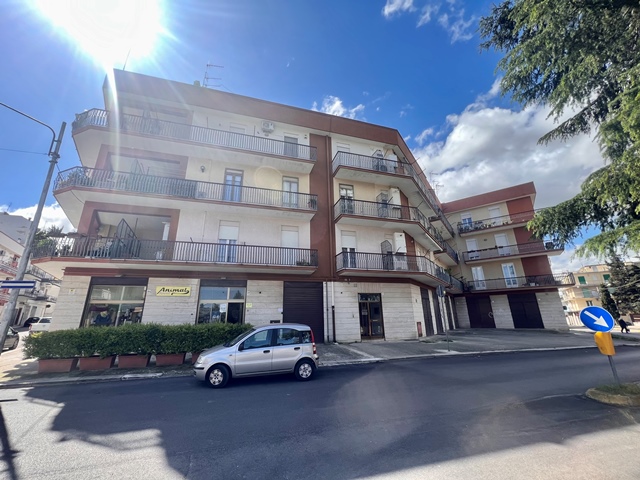 Anteprima