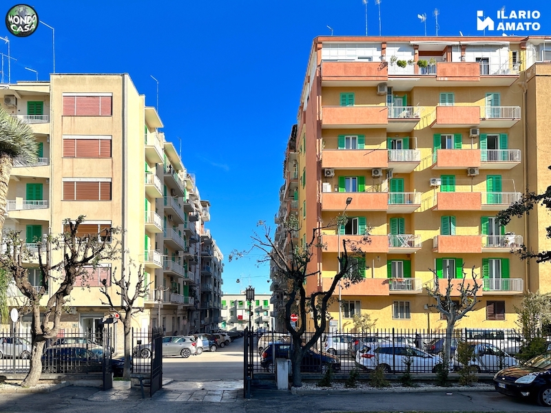 Anteprima