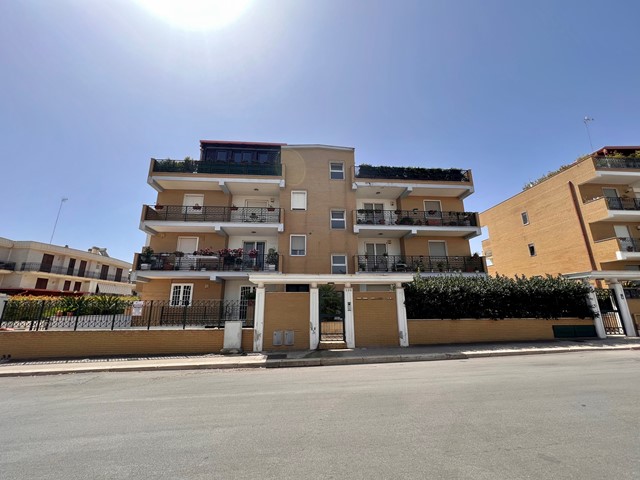 Anteprima
