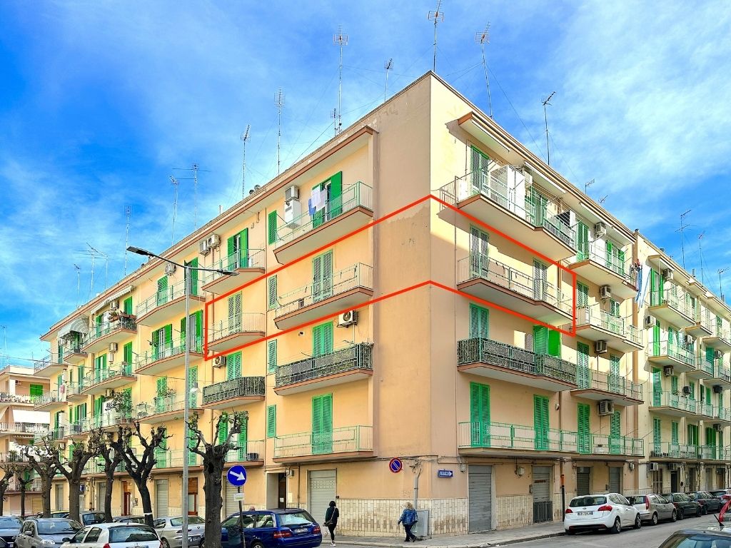 Anteprima