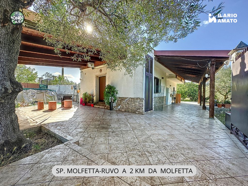 Anteprima