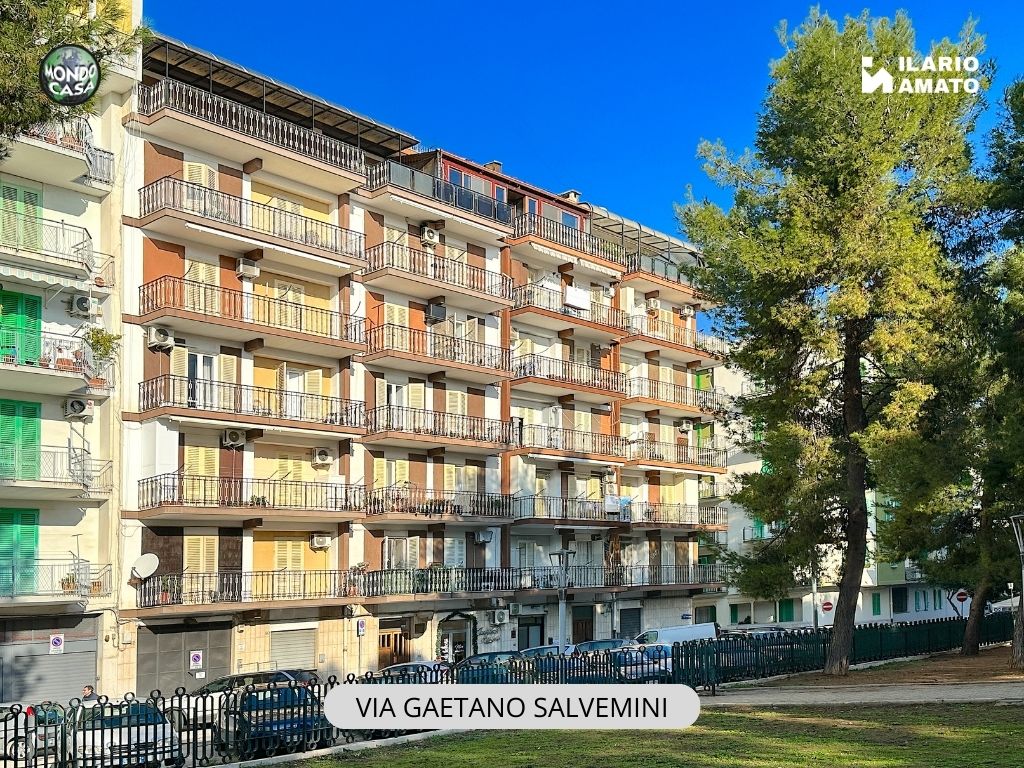 Anteprima