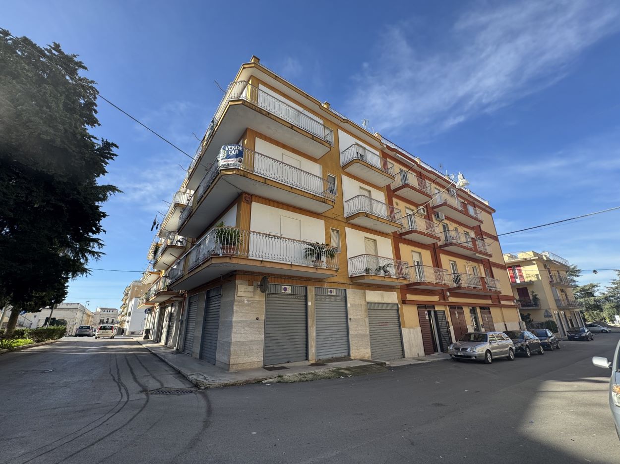 Anteprima