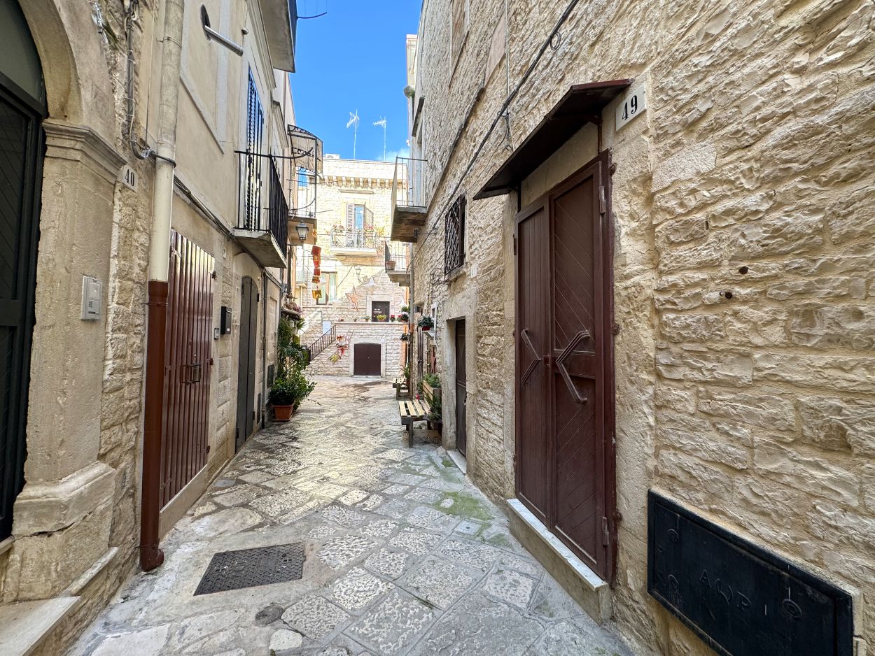 Anteprima