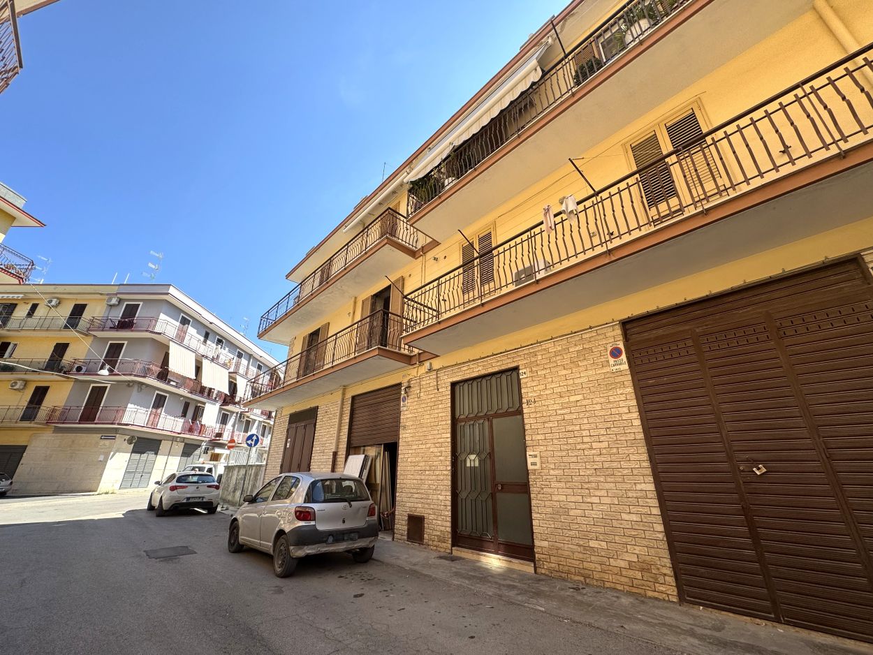 Anteprima