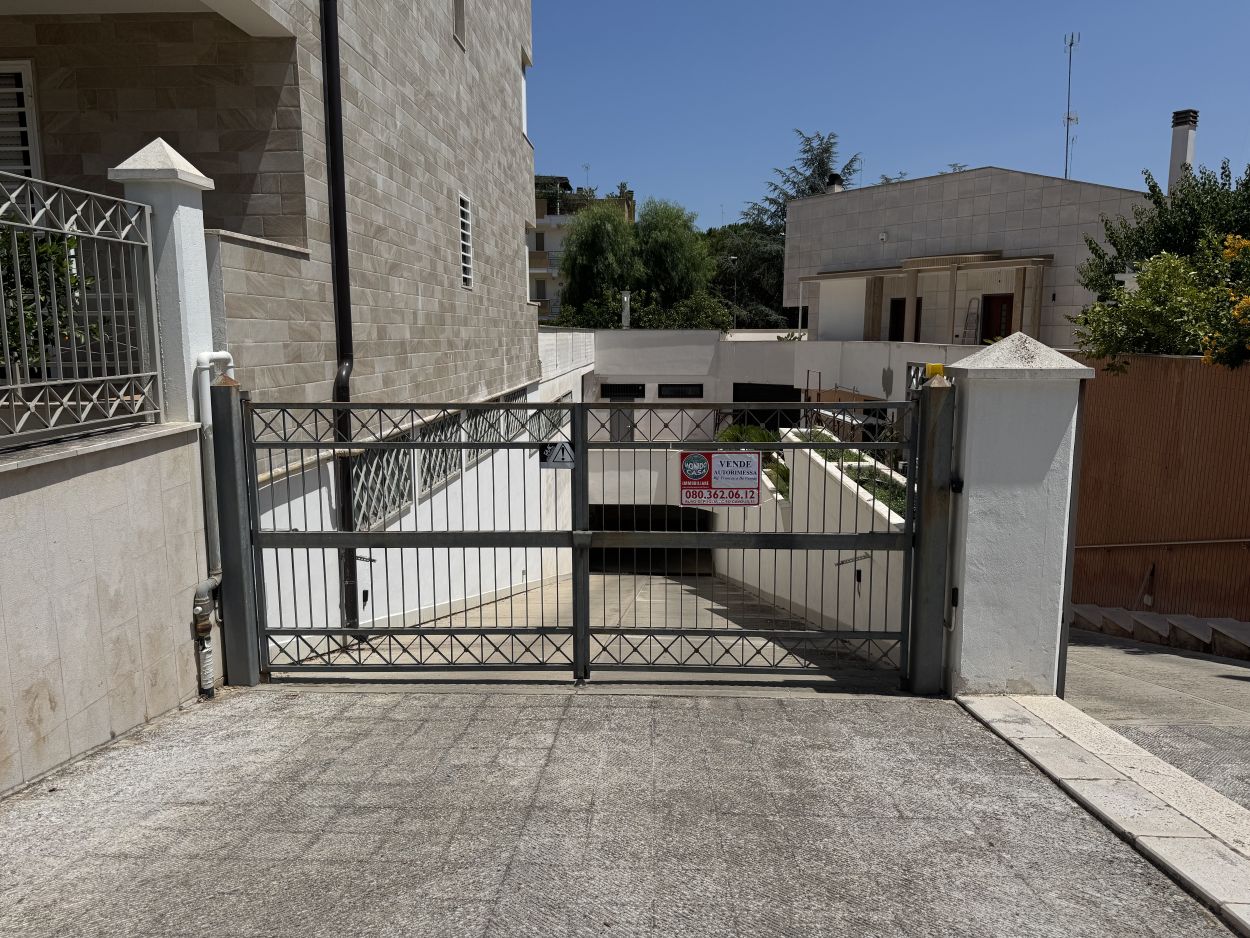 Anteprima