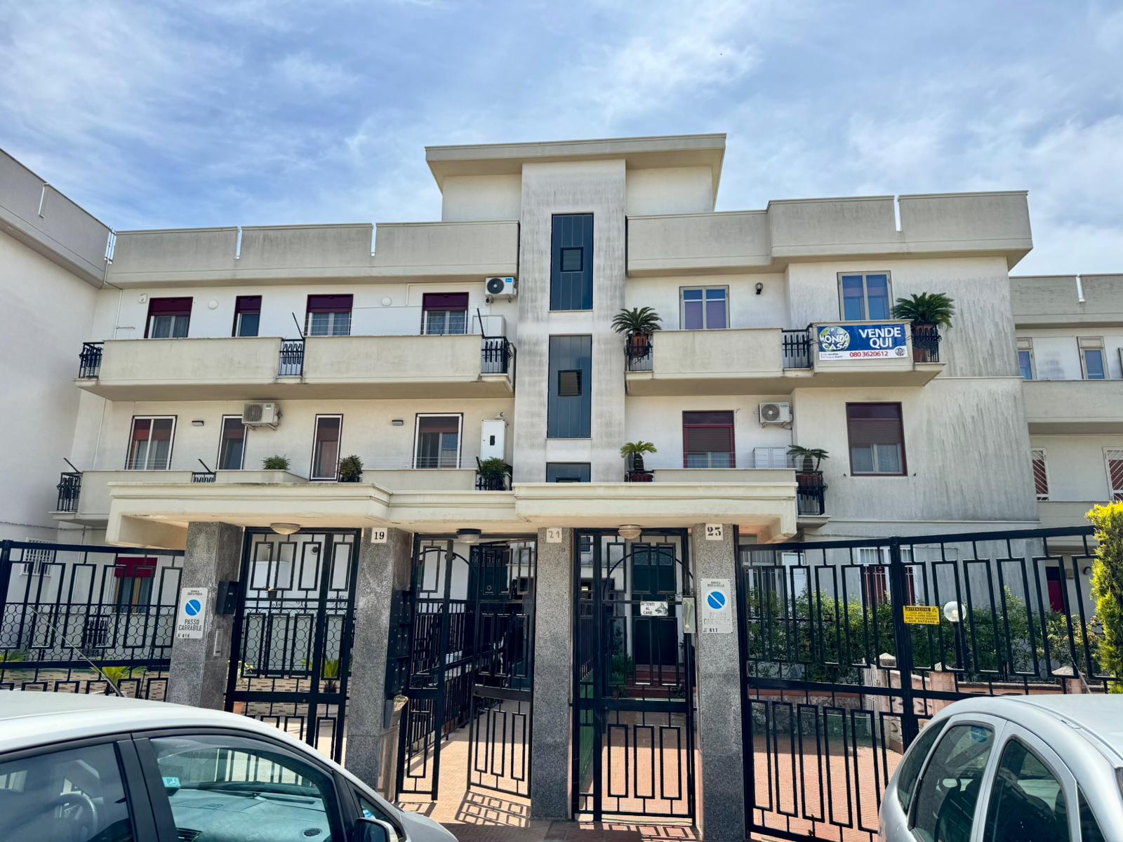 Anteprima