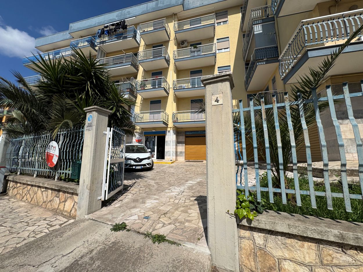 Anteprima