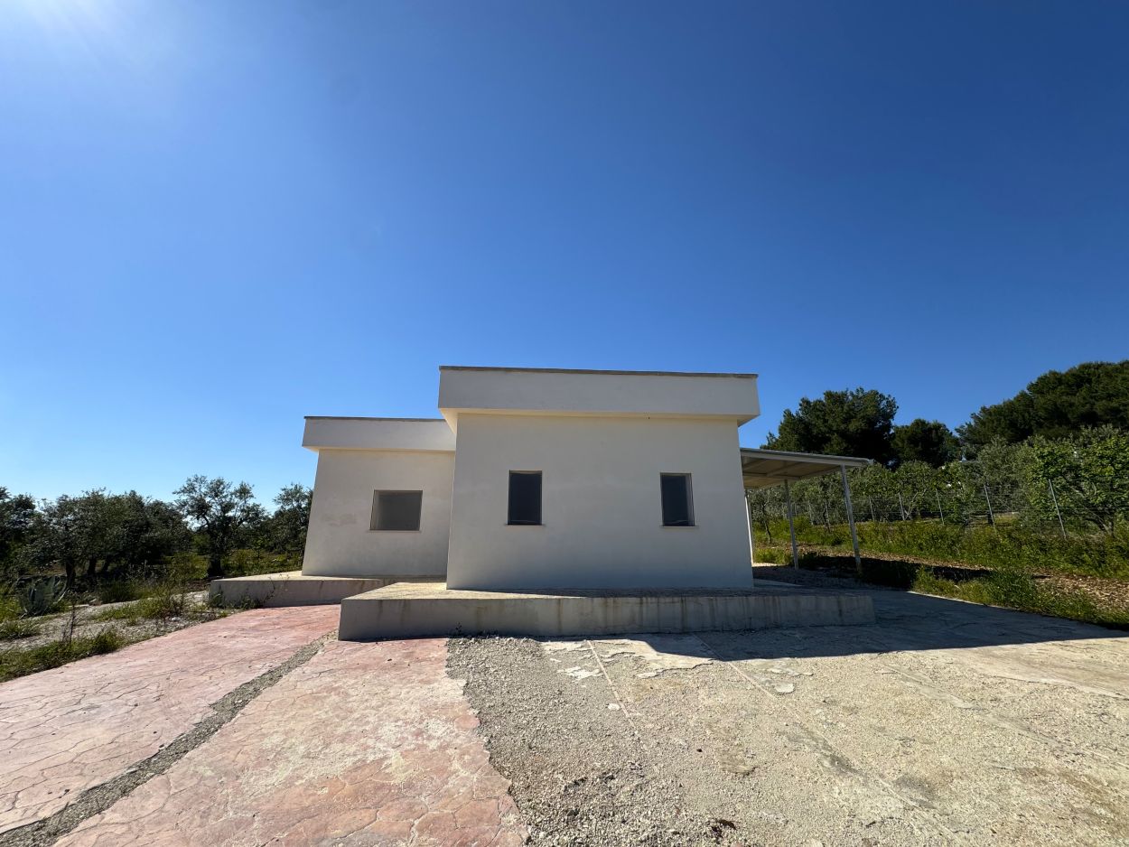 Anteprima