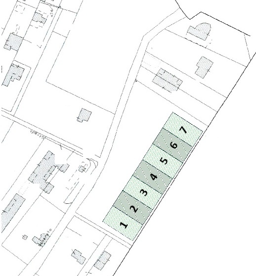 Anteprima